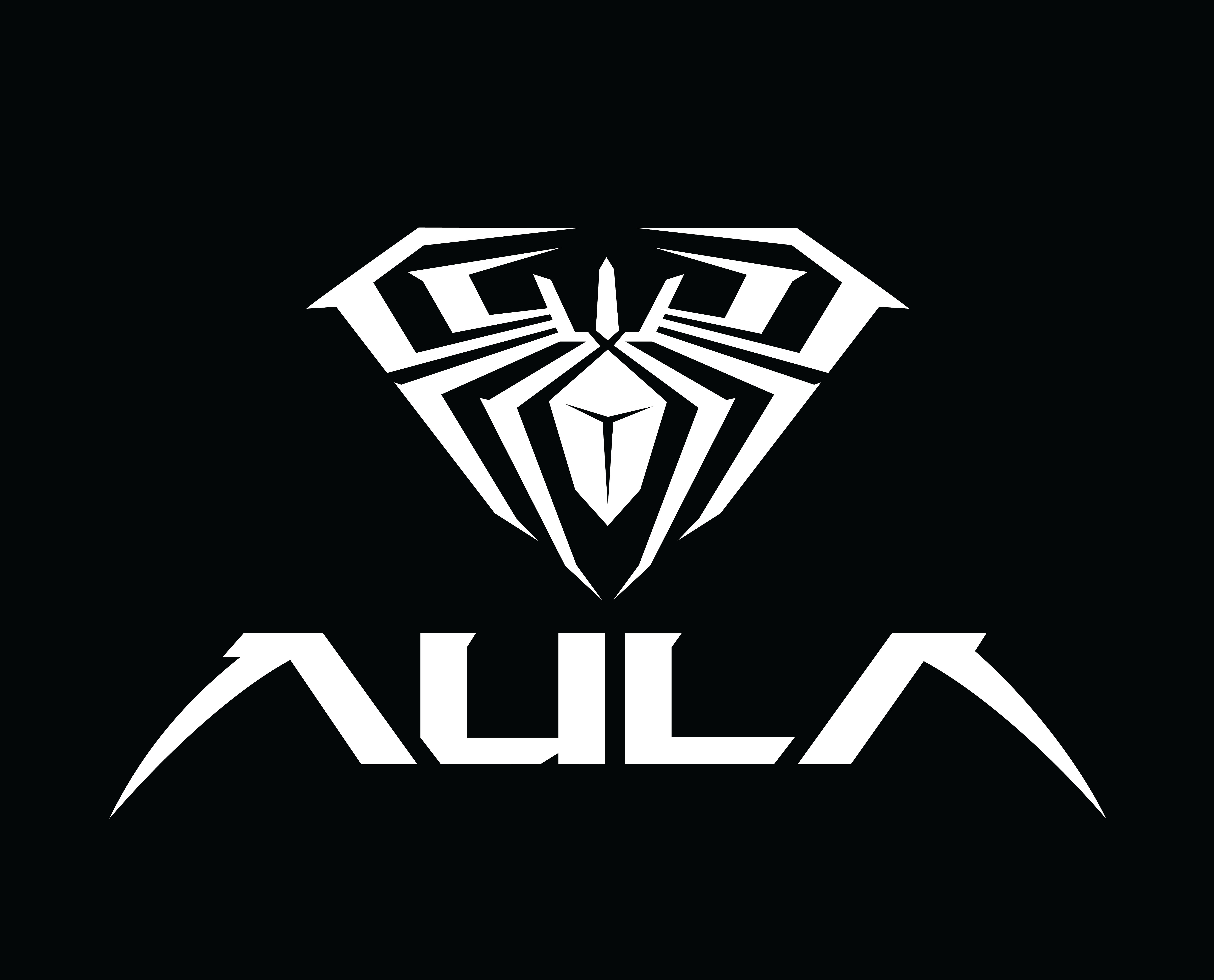 Aula