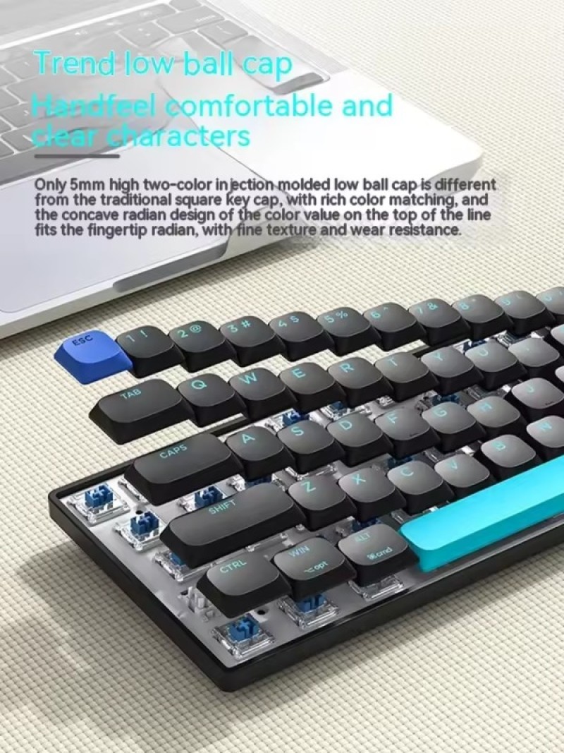Xinmeng C68 Mechanical Keyboard 3 Mode Low Profile Wireless Bluetooth Hot Swap RGB Office Keyboard For IPad Tablet Mac Pc Gamer