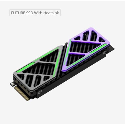 1 TB HIKSEMI FUTUREX NVMe M.2 SSD 2280 PCIe 4.0 (HS-SSD-FUTUREX 1024G) - Up To 7450MB/s